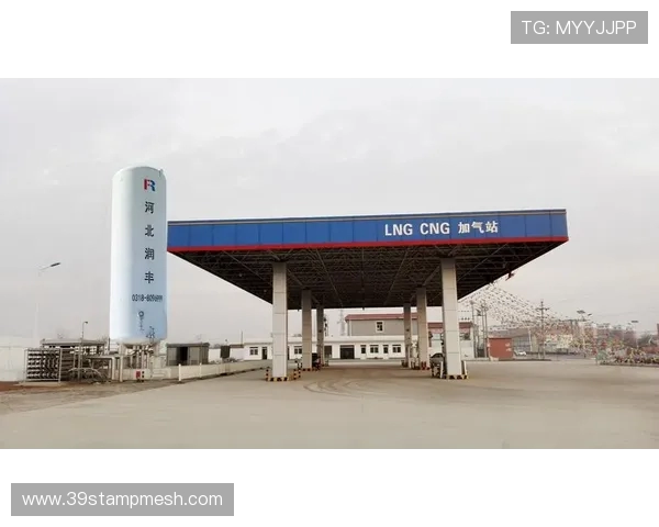 独家解析LNG行业团队协作模式的异同与发展趋势