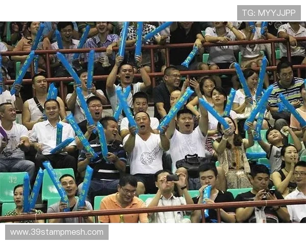 杭州羽毛球队状态对比深度解析与未来发展展望